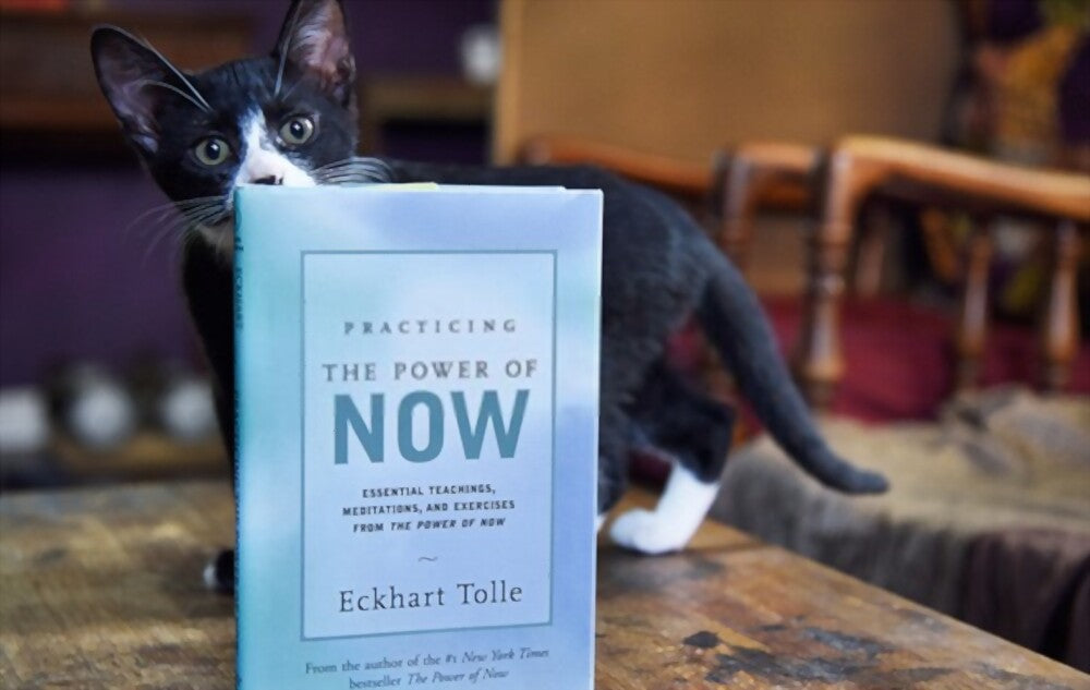 The Power of NOW