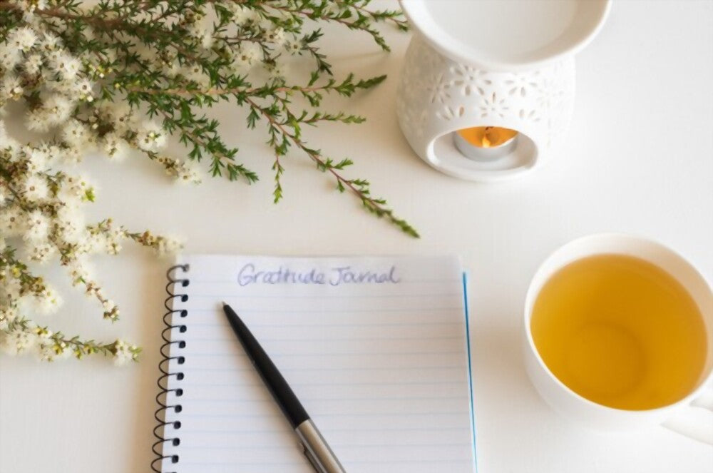 Best time to write gratitude journal diary