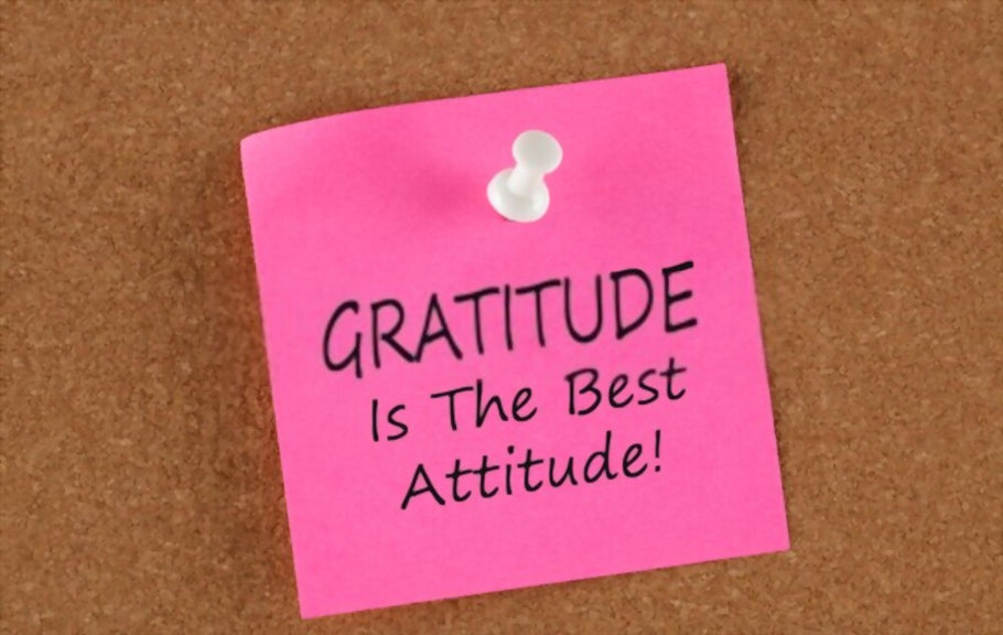 Benefits of reading gratitude journal blogs
